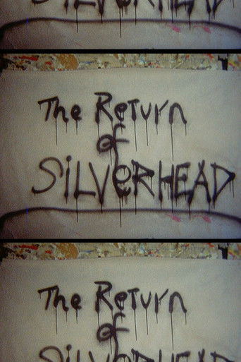 Return of Silver Head poster