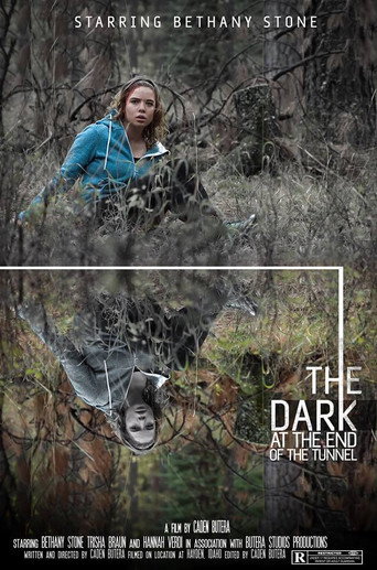 Movie poster for The Dark at the End of the Tunnel (2016)