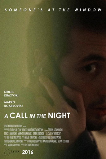 Movie poster for A Call in the Night (2016)