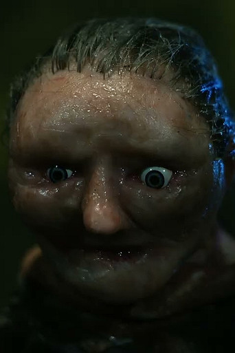 Incidental 38: Strange Action At A Distance poster