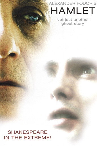 Movie poster for Fodor's Hamlet (2007)