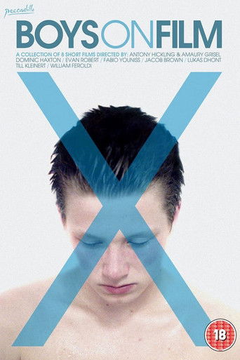 Boys On Film X poster