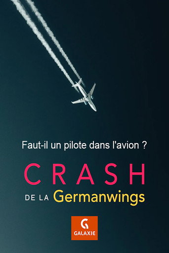 Movie poster for Faut-il un pilote dans l'avion ? (2016)