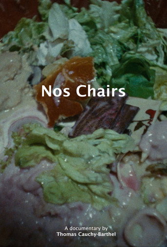 Movie poster for Nos chairs (2025)