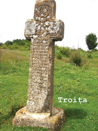 Movie poster for Troița (1991)