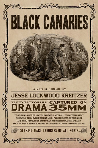 Movie poster for Black Canaries (2016)