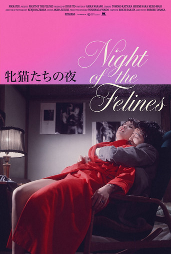 Movie poster for Night of the Felines (1972)