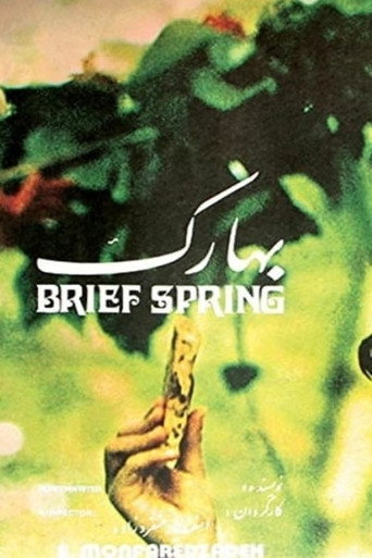 Movie poster for Brief Spring (1976)