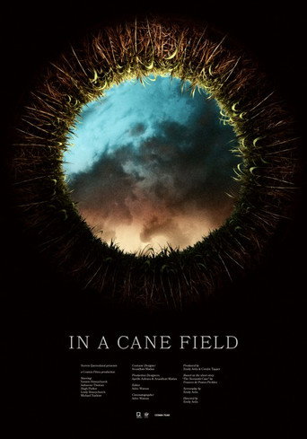 Movie poster for In a Cane Field (2016)