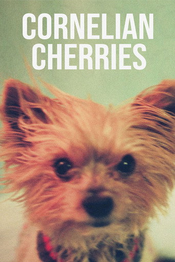 Movie poster for Cornelian Cherries (2020)