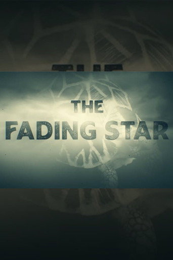 Movie poster for The Fading Star (2025)
