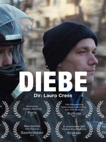 Movie poster for Thieves (2014)