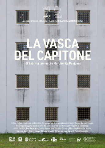 Movie poster for La vasca del Capitone (2017)