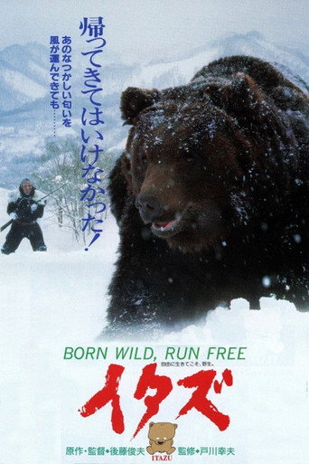 Movie poster for The Forest of the Little Bear (1987)