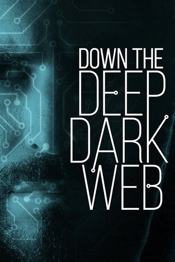Movie poster for Down the Deep, Dark Web (2016)