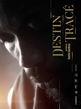 Movie poster for Destiny Traced (2023)
