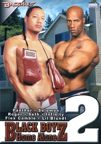 Movie poster for Black Boyz Home Alone 2 (2005)