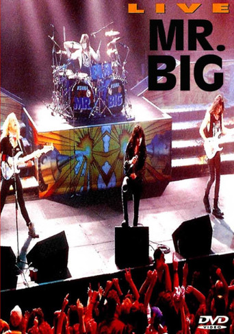 Movie poster for Mr. Big: Live (1992)