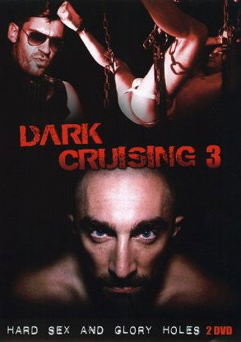 Movie poster for Dark Cruising 3 (2010)