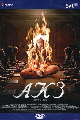 AK3 - Dolda beslut poster