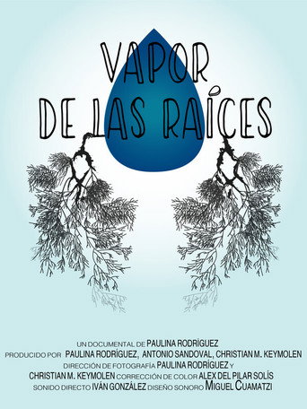 Movie poster for Vapor de las raíces (2020)