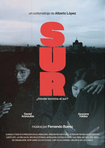 Movie poster for Sur (2024)