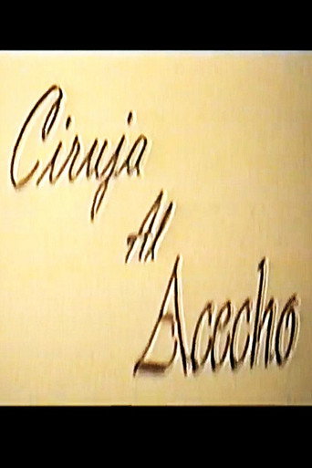 Movie poster for Ciruja al acecho (1998)