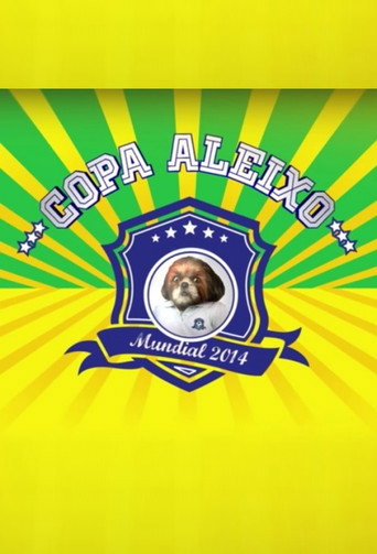 Series poster for Copa Aleixo 2014 (2014)