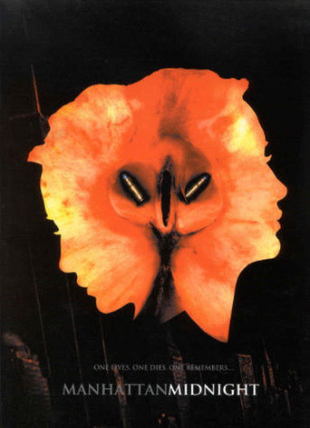 Manhattan Midnight poster