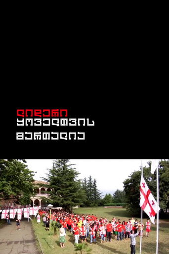 Movie poster for The Leader is Always Right (2010)