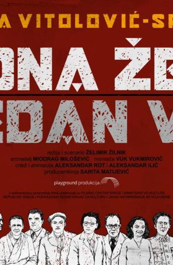 Movie poster for One Woman – One Century (2011)