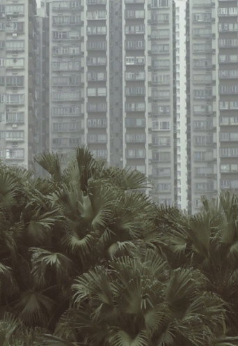 Movie poster for South Horizons (2015)