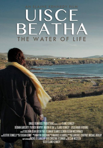 Movie poster for Uisce Beatha Water of Life (2017)