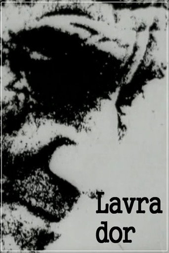 Movie poster for Lavra Dor (1968)