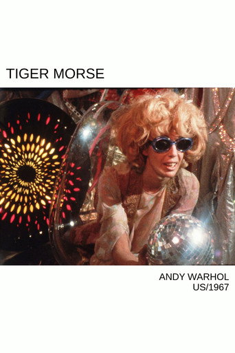 Movie poster for Tiger Morse (1967)
