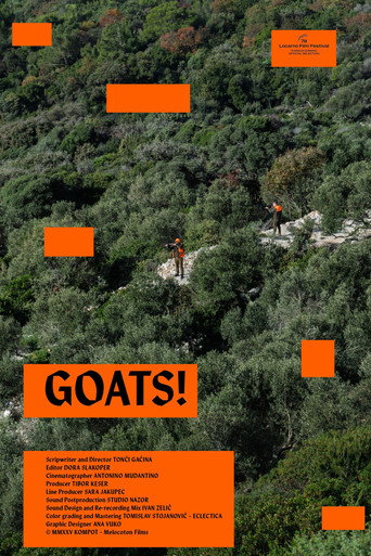 Movie poster for Goats! (2025)