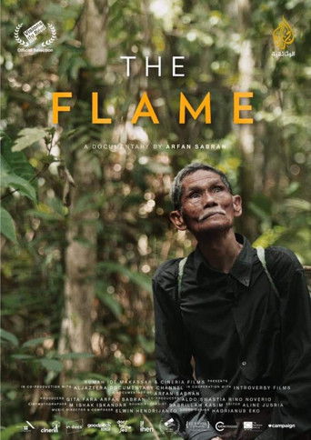 The Flame poster