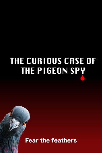 Movie poster for The Curious Case of the Pigeon Spy