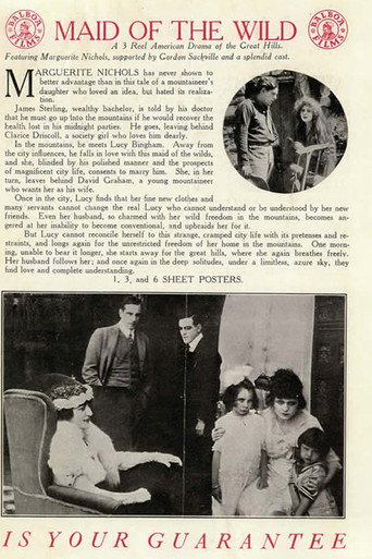 The Maid of the Wild poster