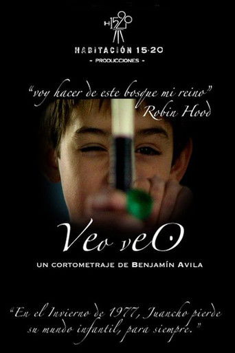 Veo veo poster