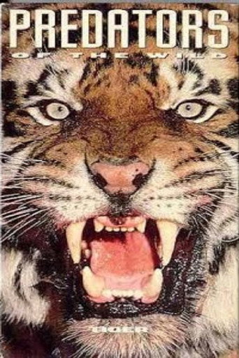 Movie poster for Predators of the Wild: Tiger (1993)