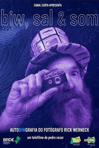 Movie poster for BIW, Sal e Som (2019)