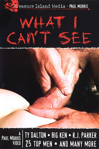 Movie poster for What I Can't See (1999)