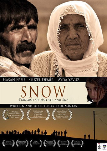 Movie poster for Snow (2010)