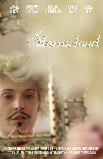 Movie poster for Stormcloud (2013)