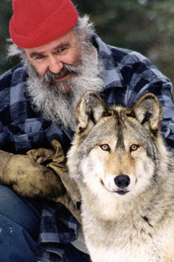 Movie poster for Il parle avec les loups (2001)