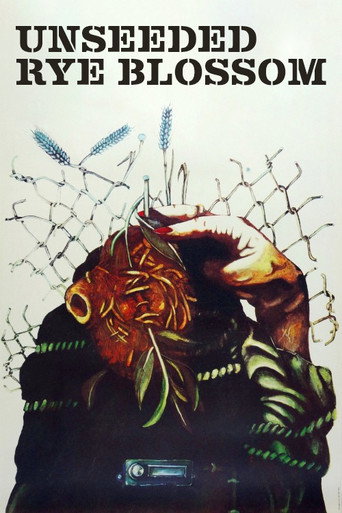 Unseeded Rye Blossom poster