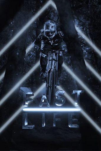 Series poster for Fast Life