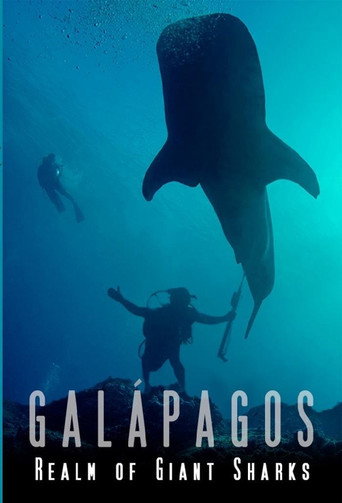 Movie poster for Galapagos Realm Of Giant Sharks (2012)
