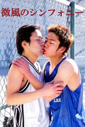 Movie poster for Symphony of a Soft Breeze (2001)